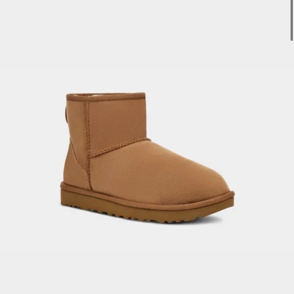 Short Chestnut Uggs